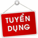 CÔNG TY TNHH TOYO SYSTEM & NIKKOKU VIETNAM