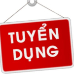CÔNG TY TNHH BẠCH ĐẰNG