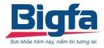 Công ty cổ phần Bigfa