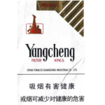 CÔNG TY TNHH QUỐC TẾ CÔNG NGHIỆP GỖ YANG CHENG (VIỆT NAM)