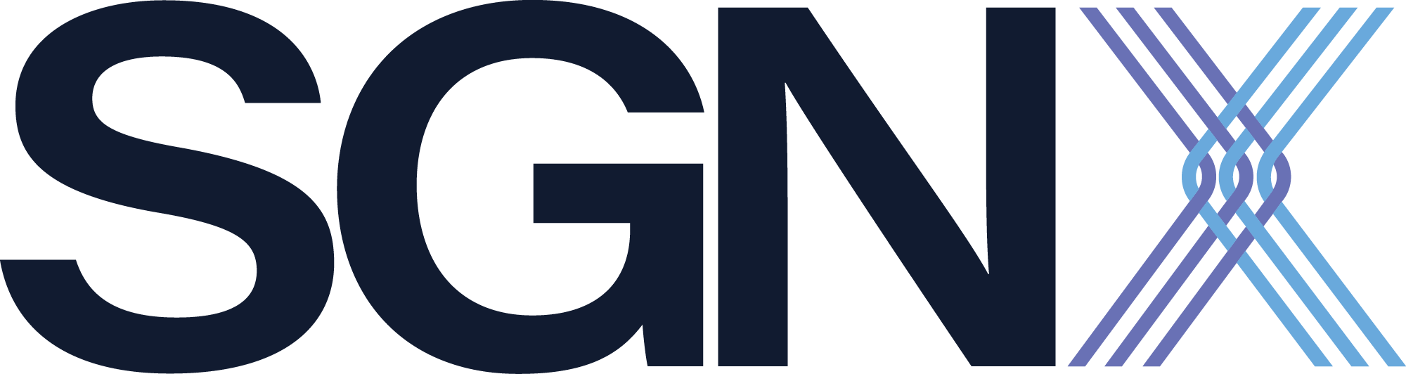 Công ty Cổ phần Tư vấn Đầu tư SGNX