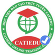 CÔNG TY CP HỌC VIỆN ĐÀO TẠO TRỰC TUYẾN CATIEDU