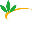 Công Ty TNHH Giải Pháp Khỏe Thái Dương